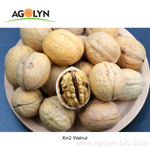 new crop wholesale walnuts in shell for sale